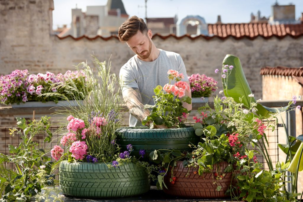 Glasgow's Seasonal Gardening In Spring