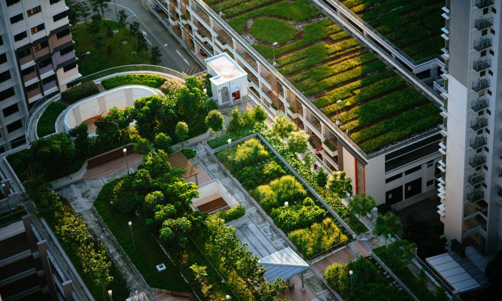 Integrating Green Roofs and Living Walls in Home Design