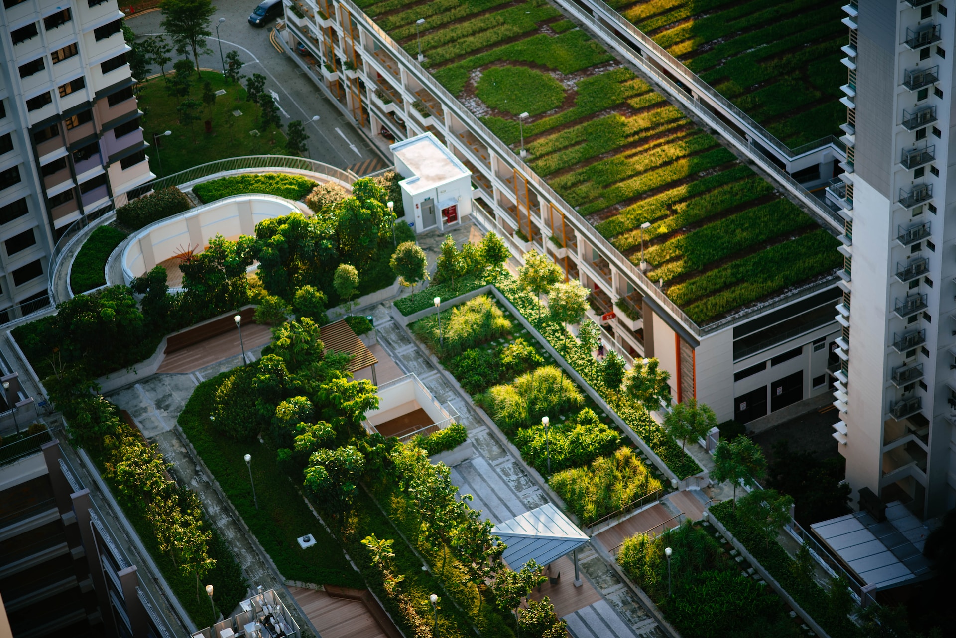 Integrating Green Roofs and Living Walls in Home Design