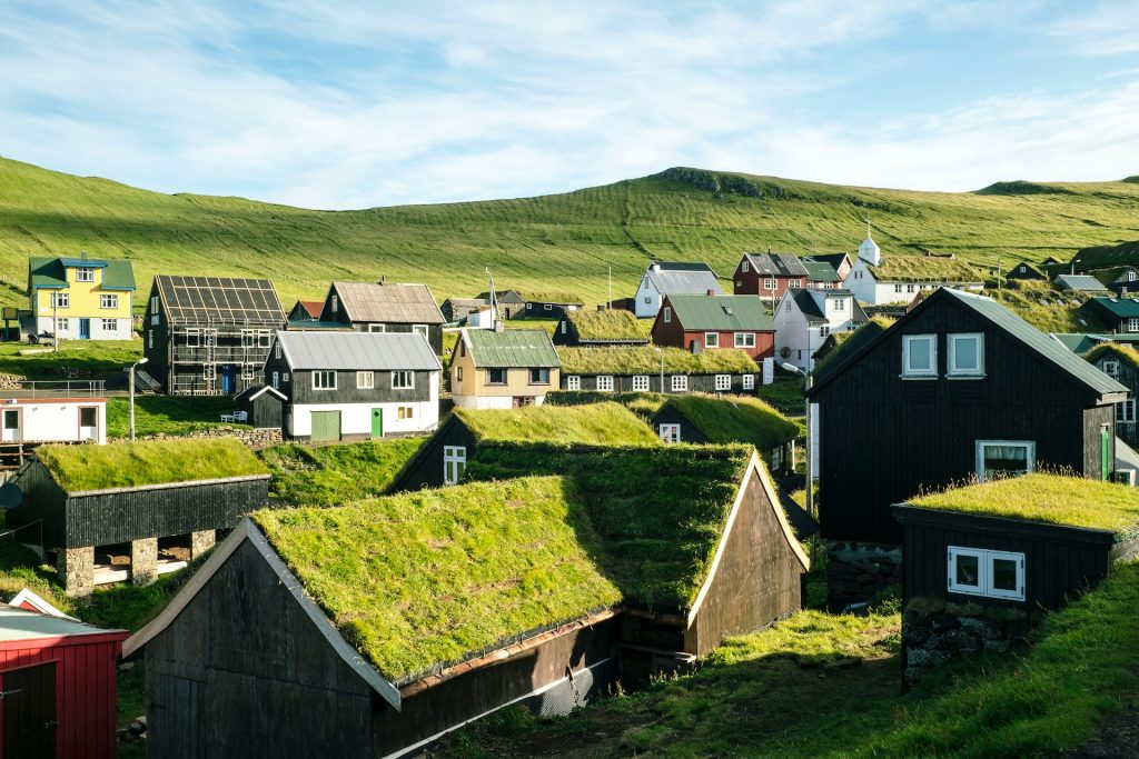 Challenges of Integrating Green Roofs and Living Walls