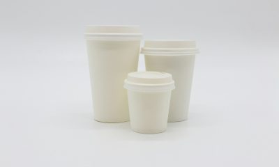 disposable cups profitable for cafés