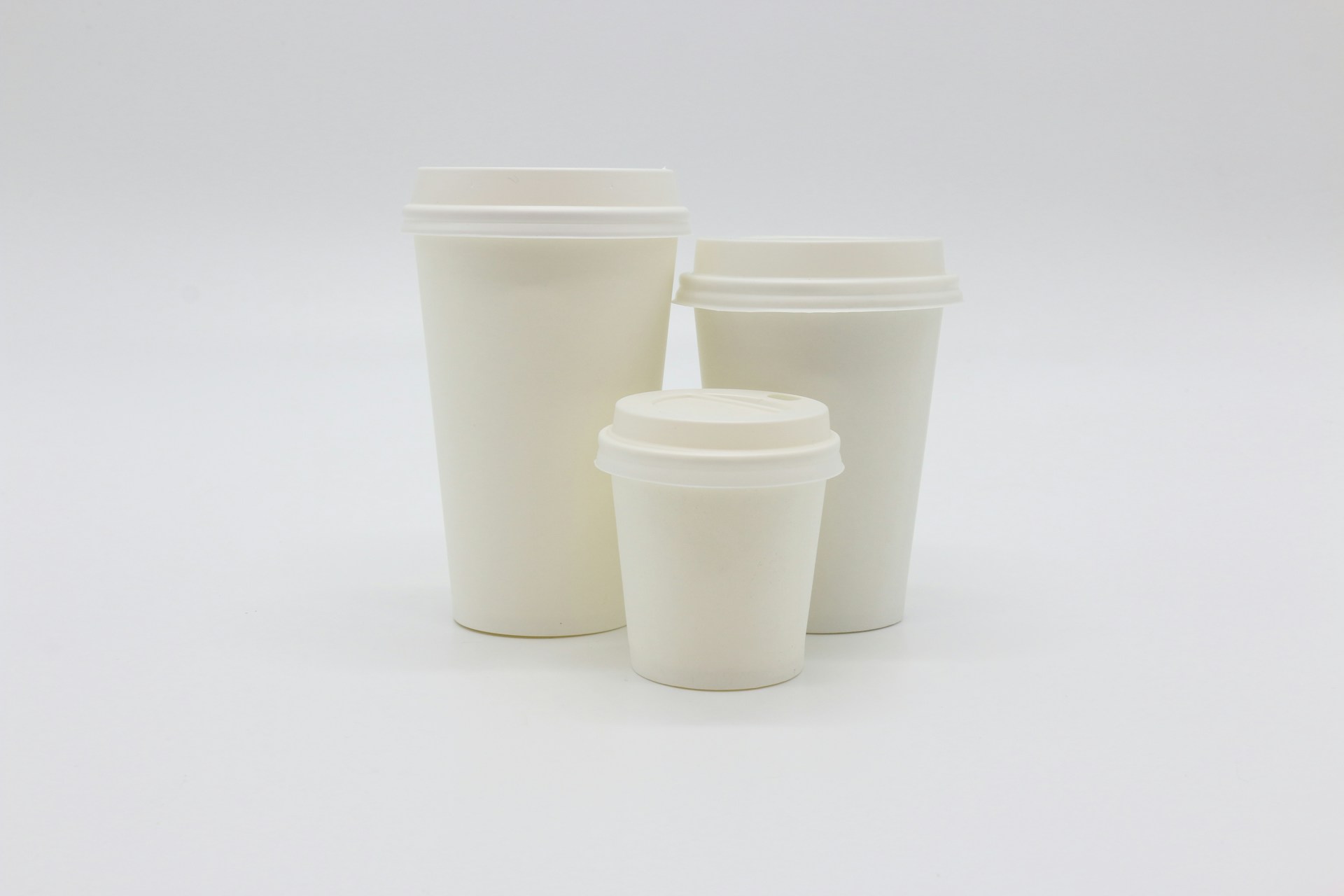 disposable cups profitable for cafés